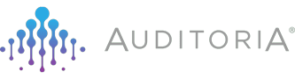 Auditoria.AI